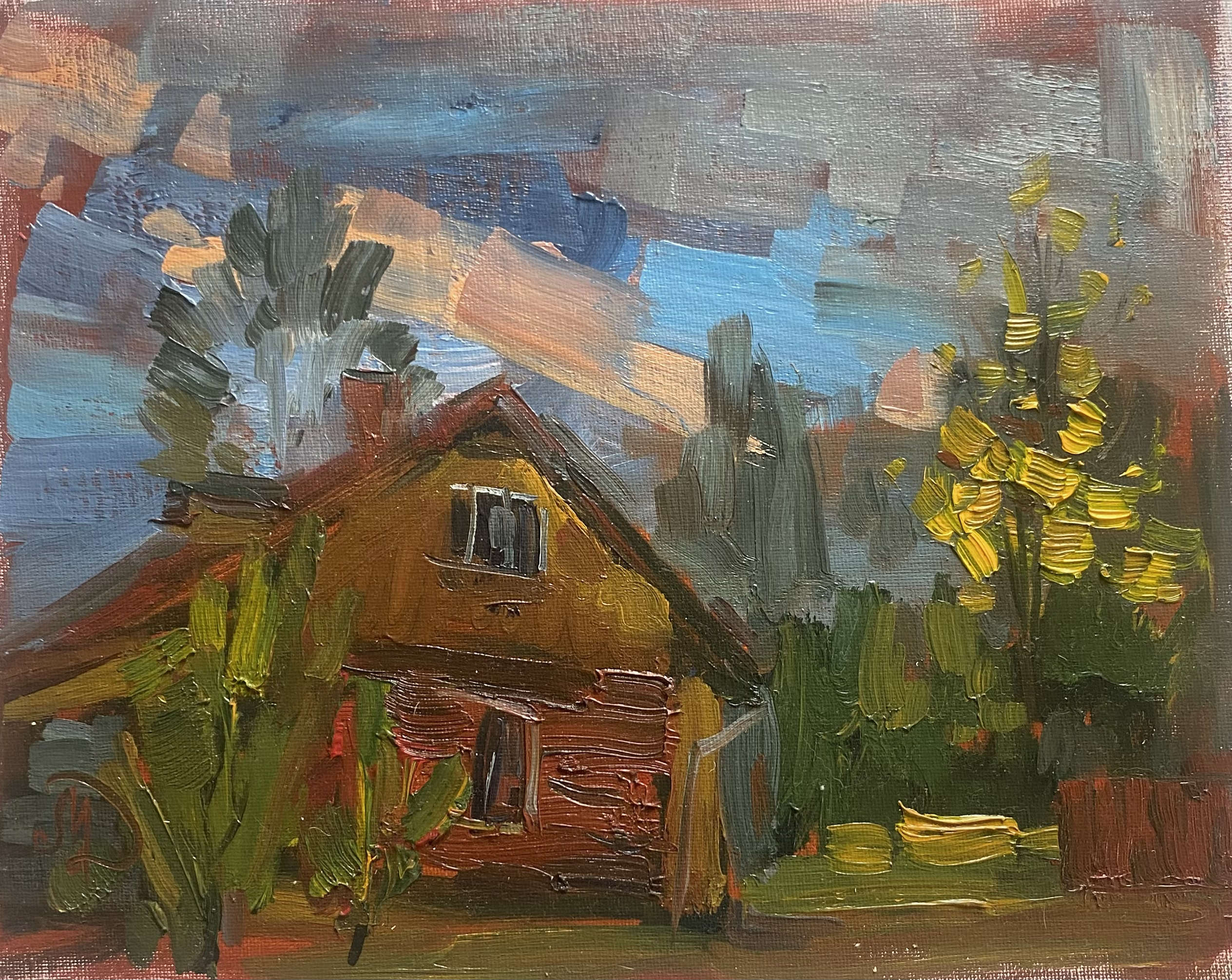 Вечер. Дом Димы.